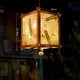 Palace Lantern Portable Blossom Flower Light Mid-autumn Festival