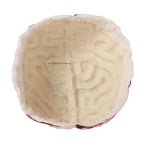 Brain Prop Hat