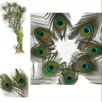 Peacock Decor Feathers