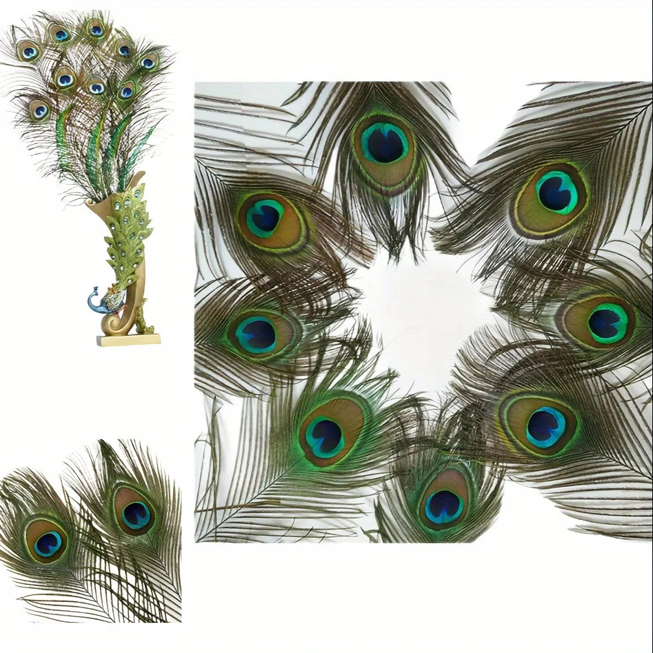 Peacock Decor Feathers