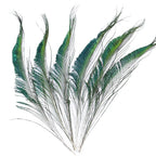 Natural Peacock Feathers