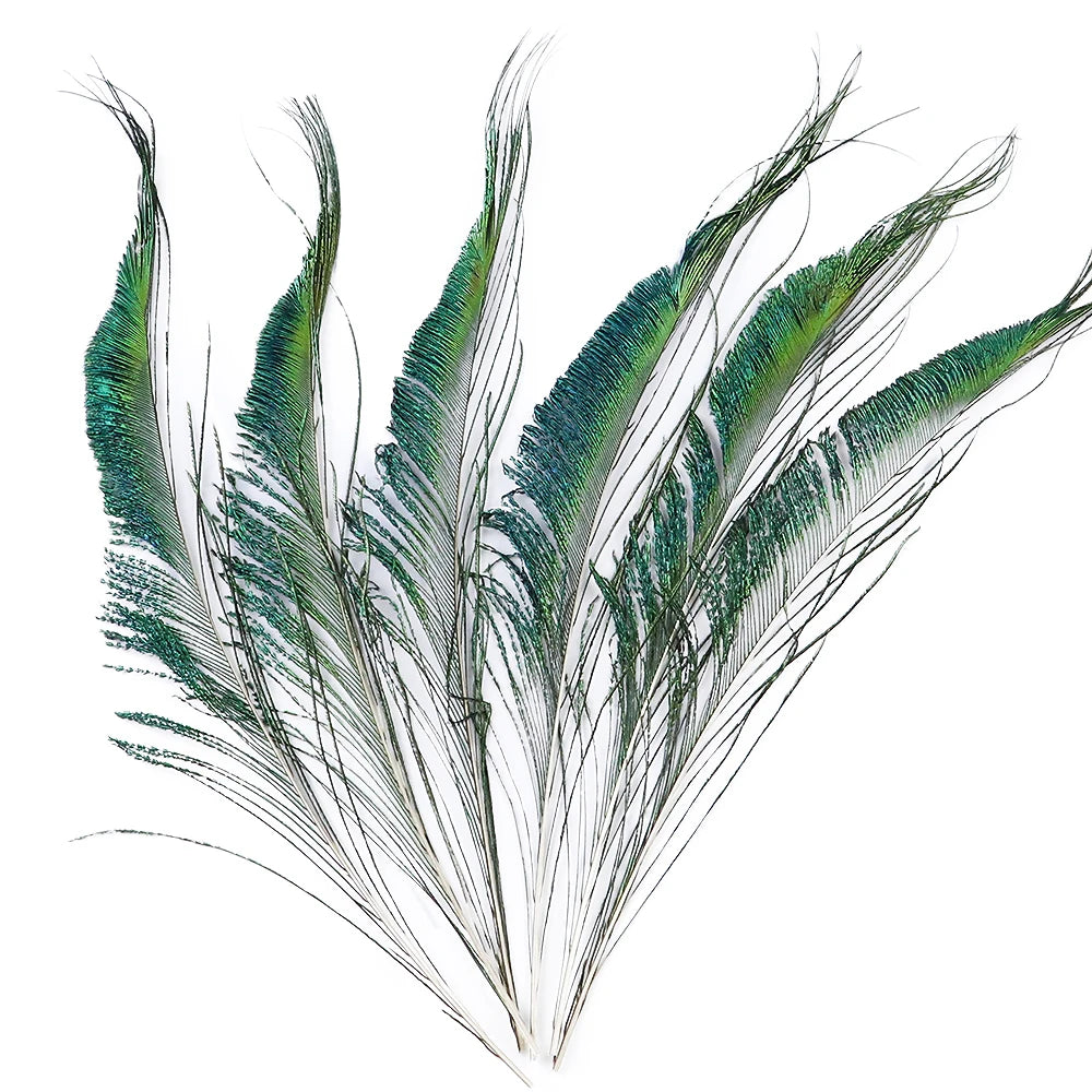Natural Peacock Feathers