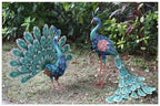 Peacock Outdoor Garden Courtyard Decoration