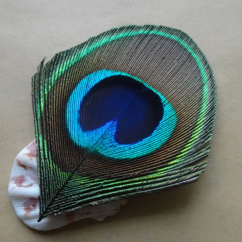 Peacock Feather Decor