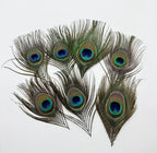 Peacock Feather Headdress