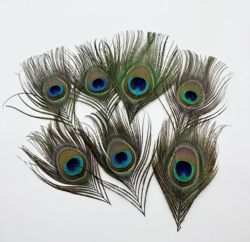 Peacock Feather Headdress