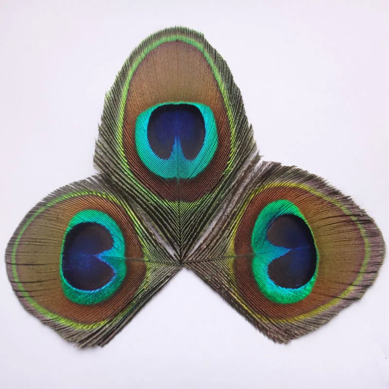 Peacock Feather Decor