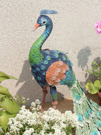 Peacock Outdoor Garden Courtyard Decoration