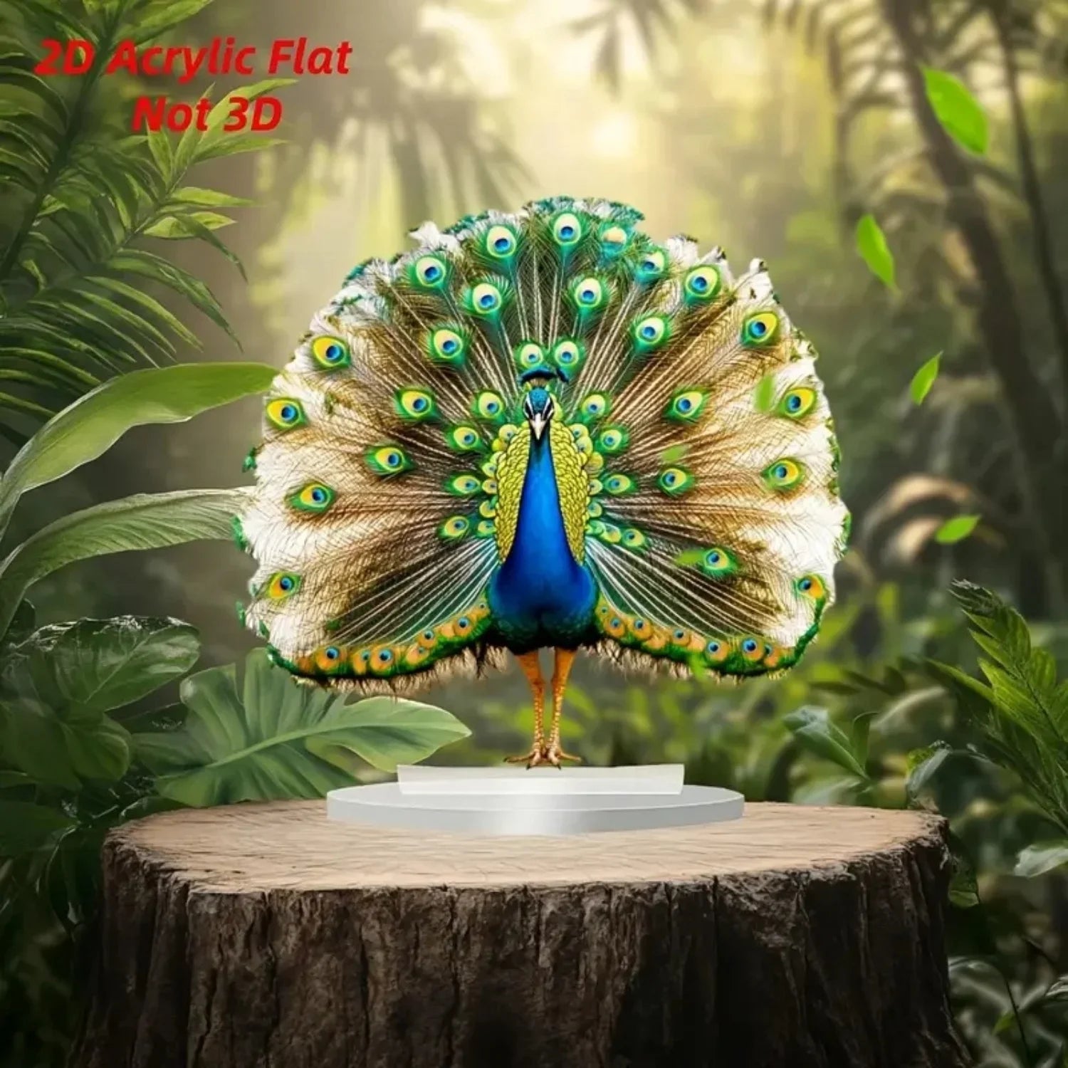 Peacock Spreading Tail