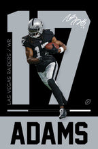 Famous Sports American Football Poster  NFL stars