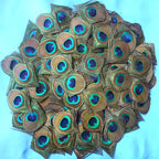 Peacock Feather Decor