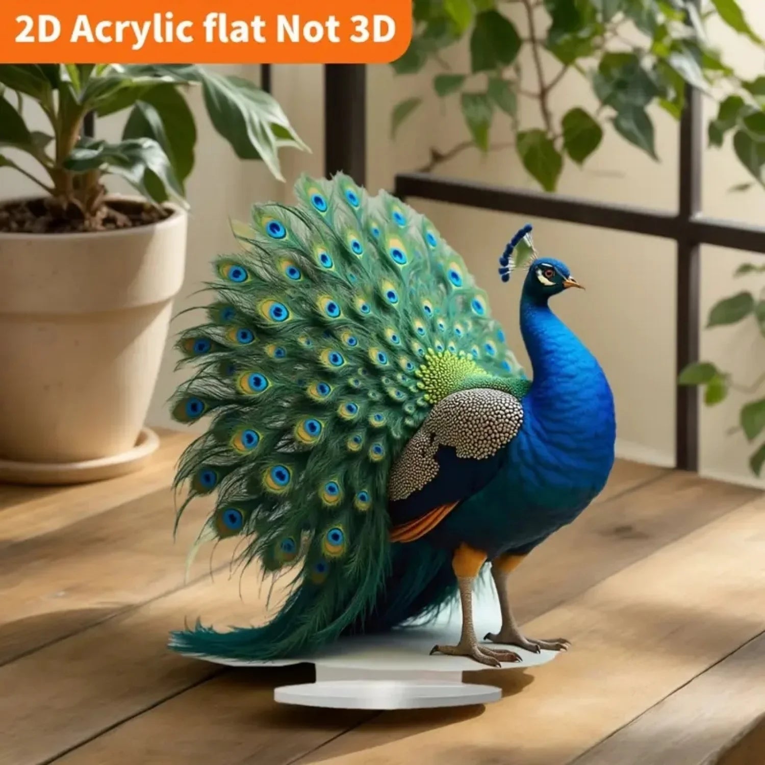 Peacock Spreading Tail