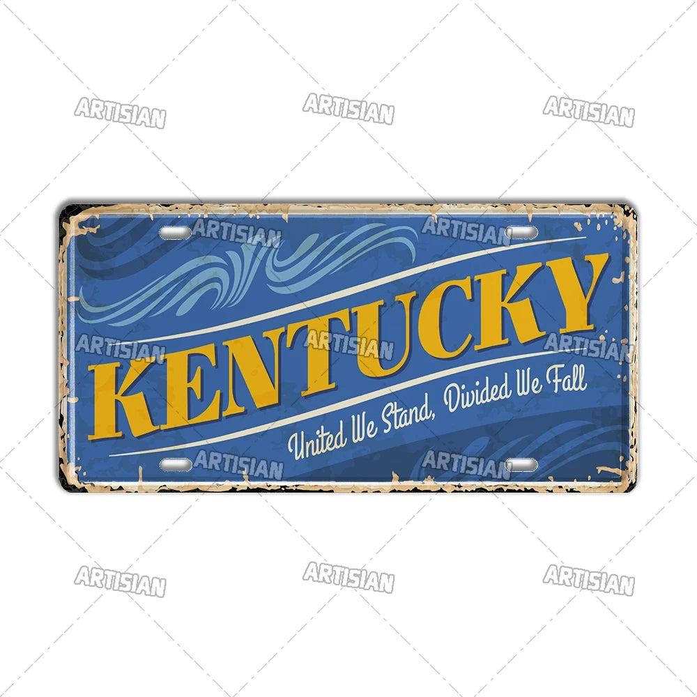 USA License Plate Landmark Metal