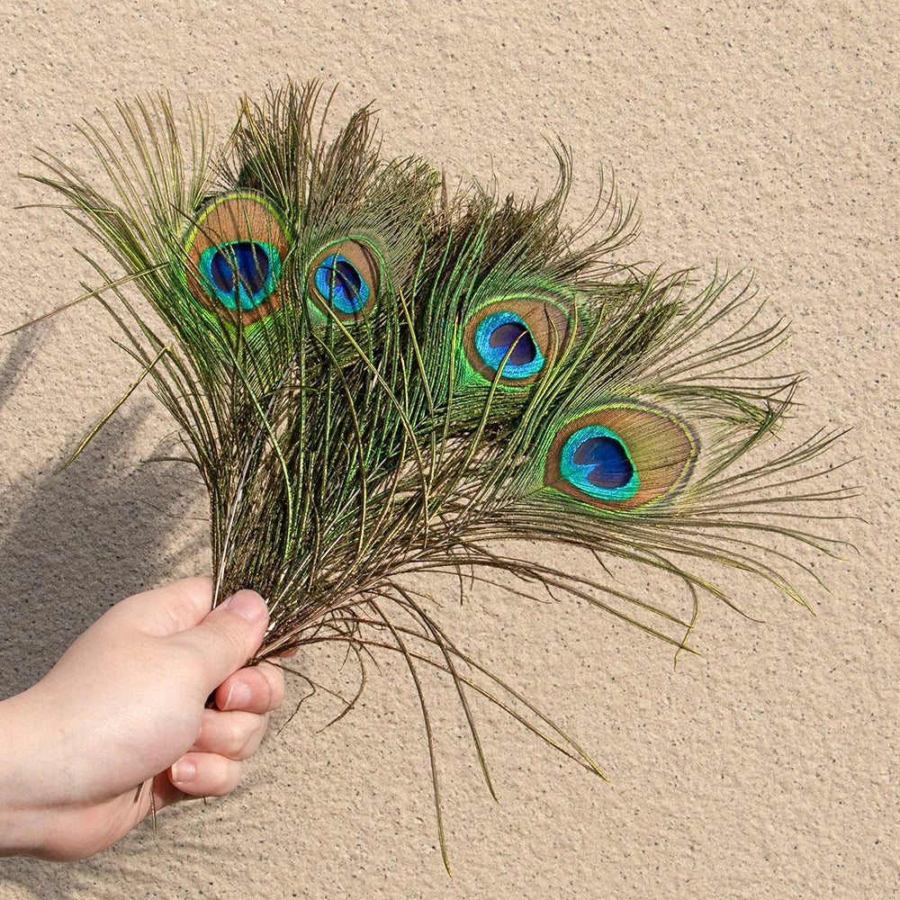 Natural Peacock Feathers