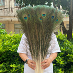 Wholesale 20/50/100pcs Peacock Natural Feather