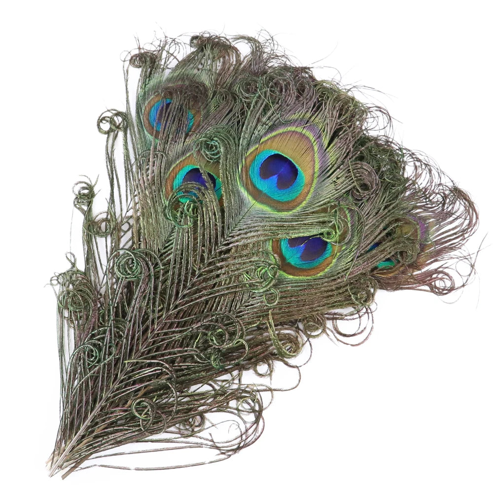 Natural Peacock Feathers