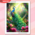Diamond Painting Peacock Art Kit