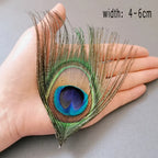 Peacock Feather Decor