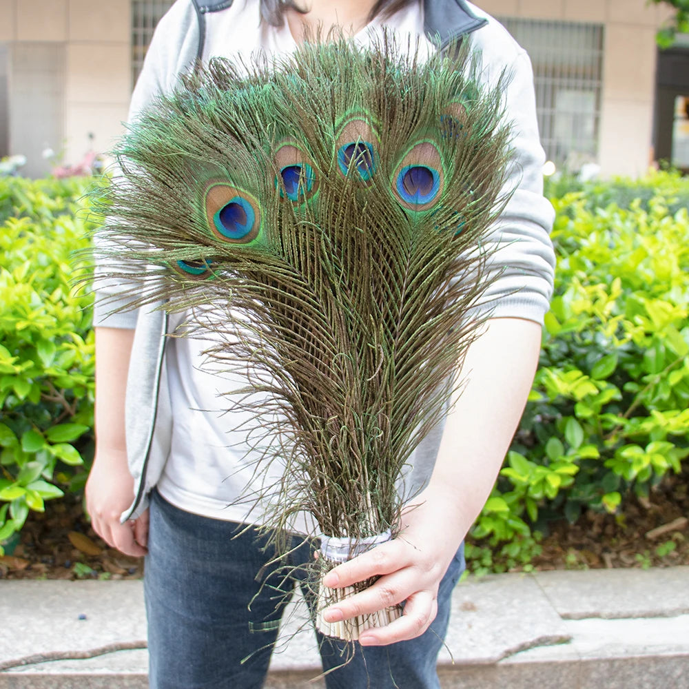 Natural Peacock Feathers