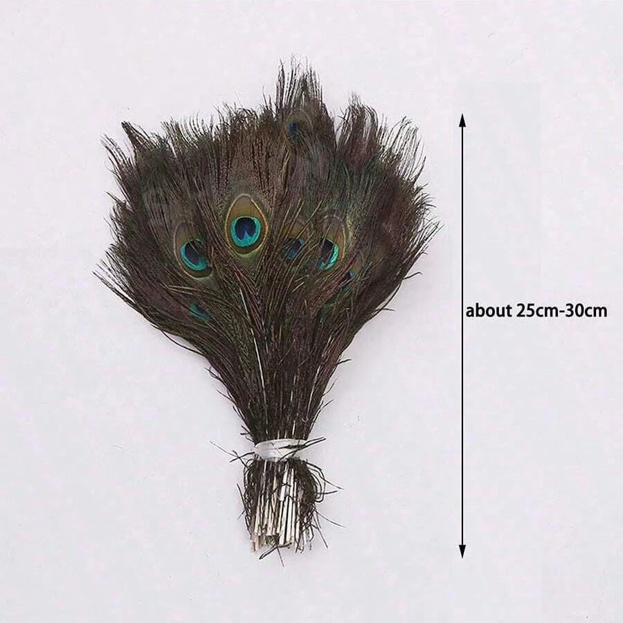 Peacock Feathers Bulk