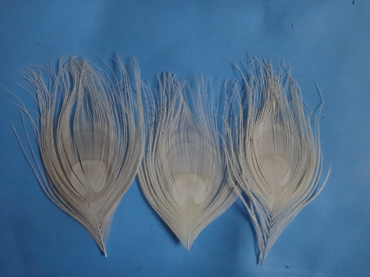 Peacock Feather Decor