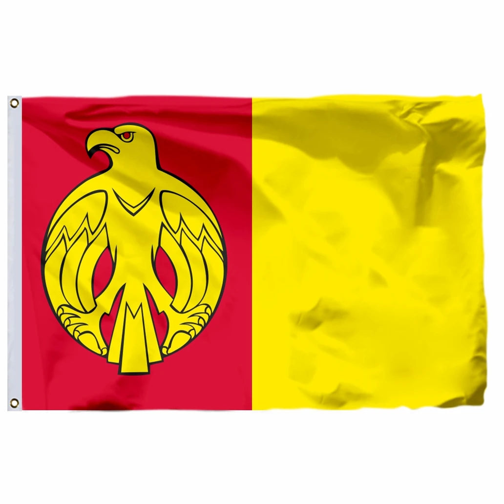 Ukraine Kyiv Kurovskyi State Flag