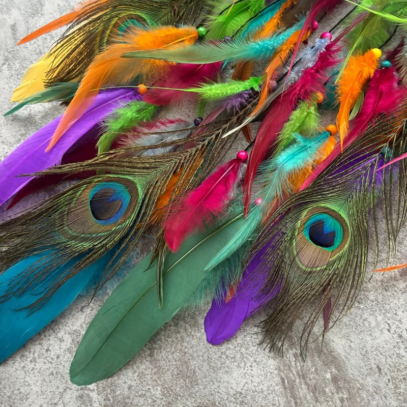 Peacock Colorful Feathers Dream Catcher