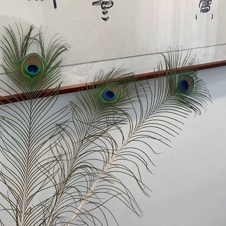Peacock Feathers Bulk