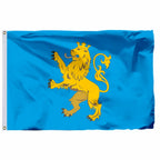 Ukraine Kyiv Kurovskyi State Flag