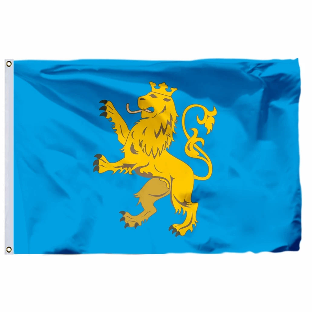 Ukraine Kyiv Kurovskyi State Flag
