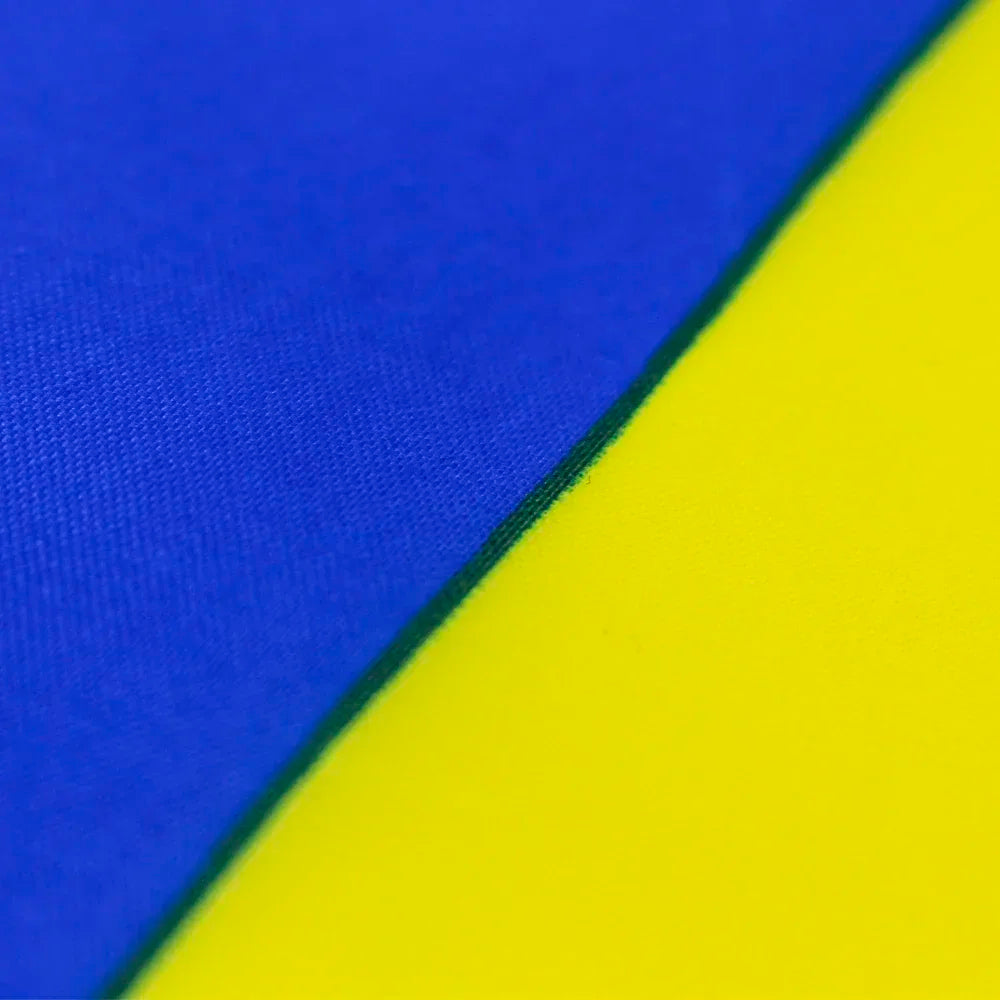 Ukrainian National Flag