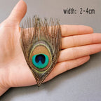 Peacock Feather Decor
