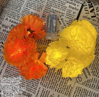5 Ft LED Orange Marigold Lights for Day of The Dead, Halloween, and Diwali