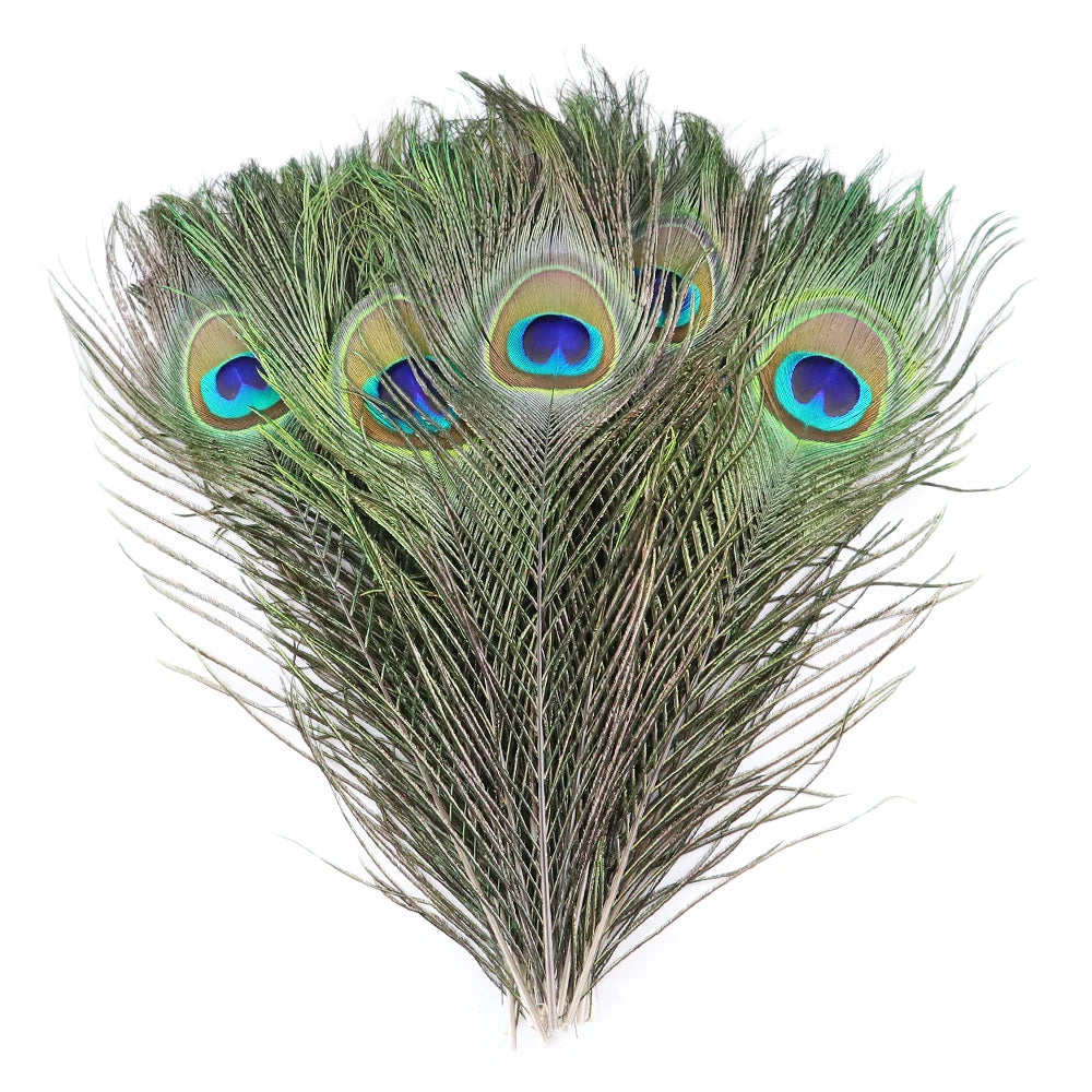 Natural Peacock Feathers