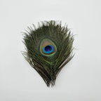 Peacock Feather Headdress