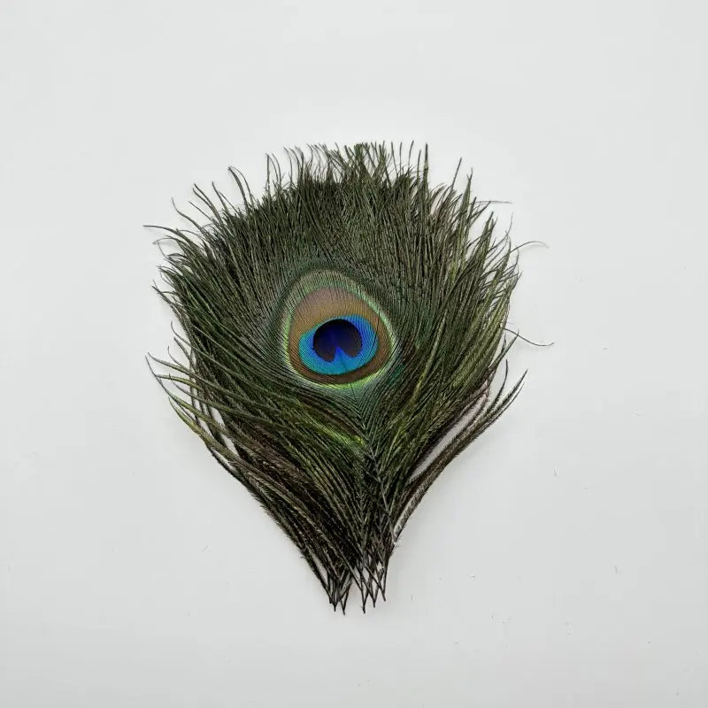 Peacock Feather Headdress