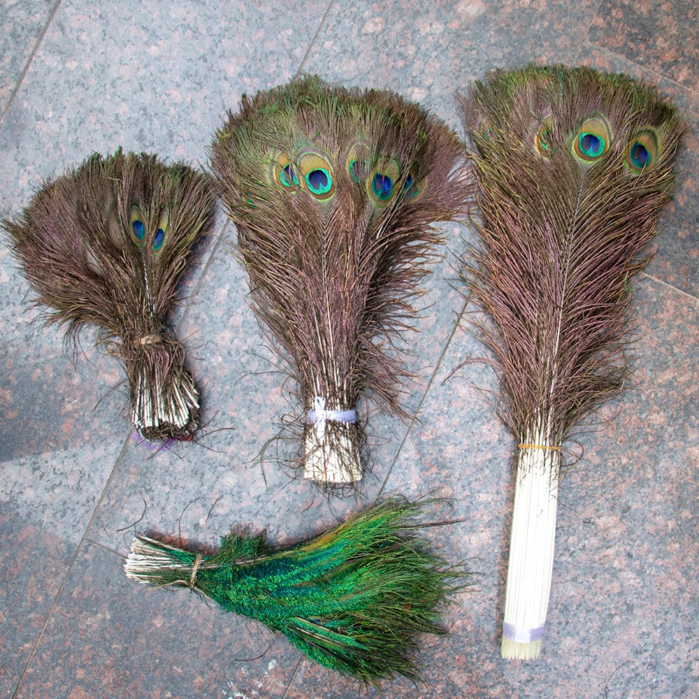 Natural Peacock Feathers