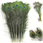 Peacock Decor Feathers