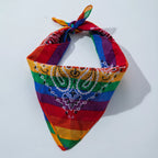 Colorful Rainbow Scarf