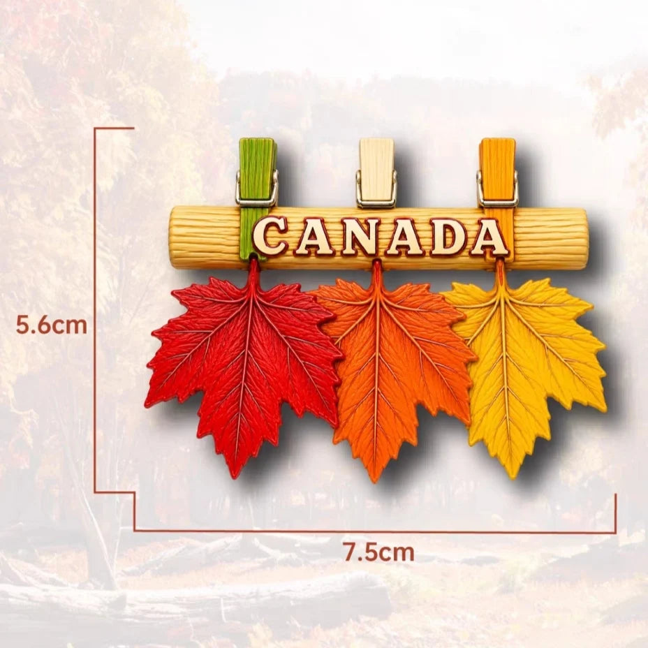 3D Fridge Magnets  Canada