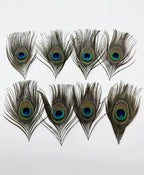 Peacock Feather Headdress