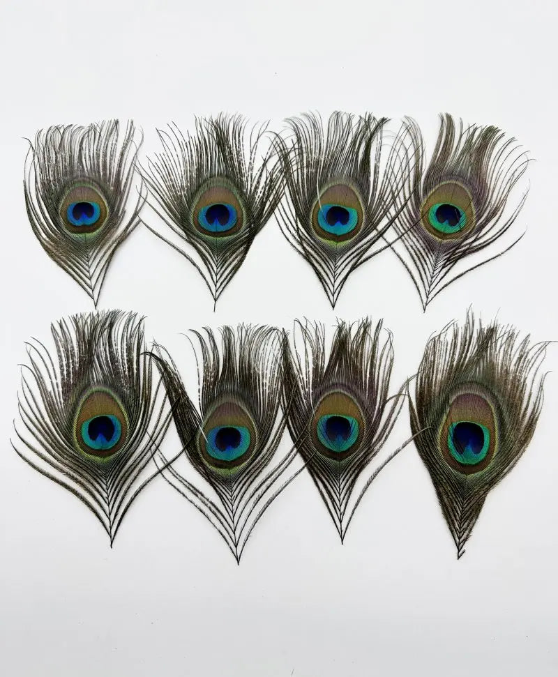 Peacock Feather Headdress