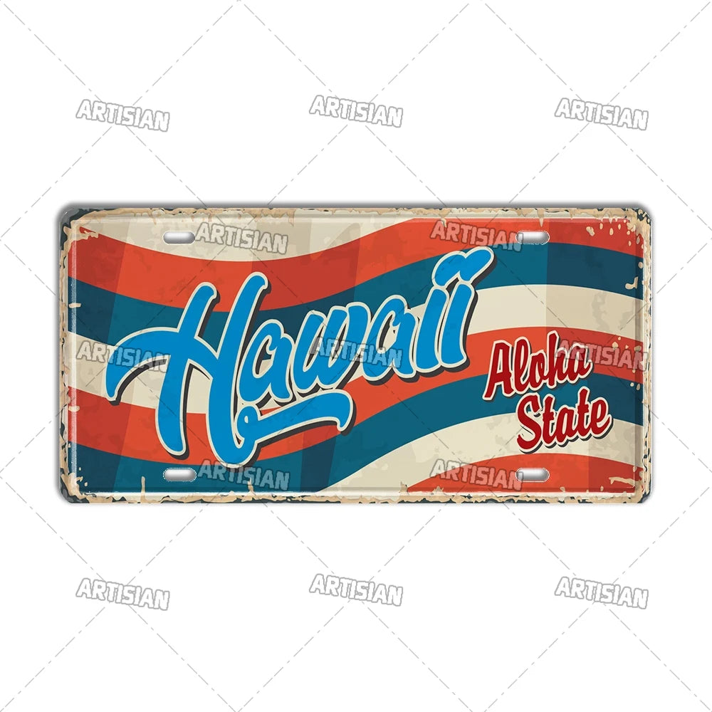USA License Plate Landmark Metal