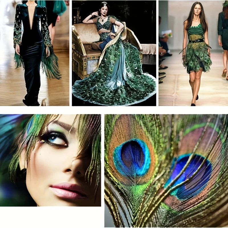 Peacock Decor Feathers