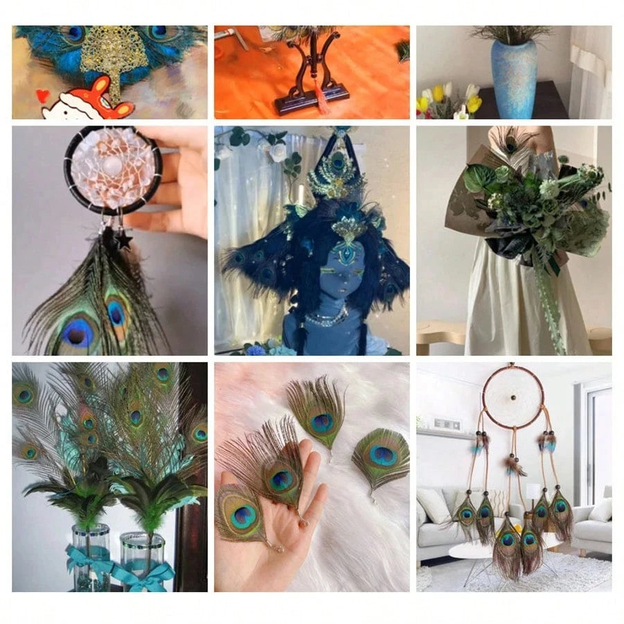 Peacock Feathers Bulk