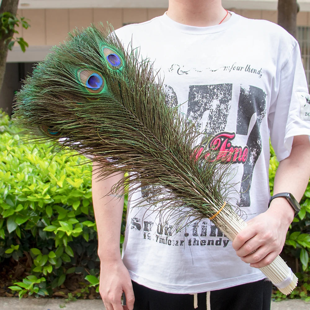 Natural Peacock Feathers