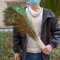 Peacock Decor Feathers