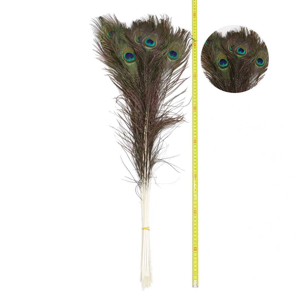 Wholesale 20/50/100pcs Peacock Natural Feather
