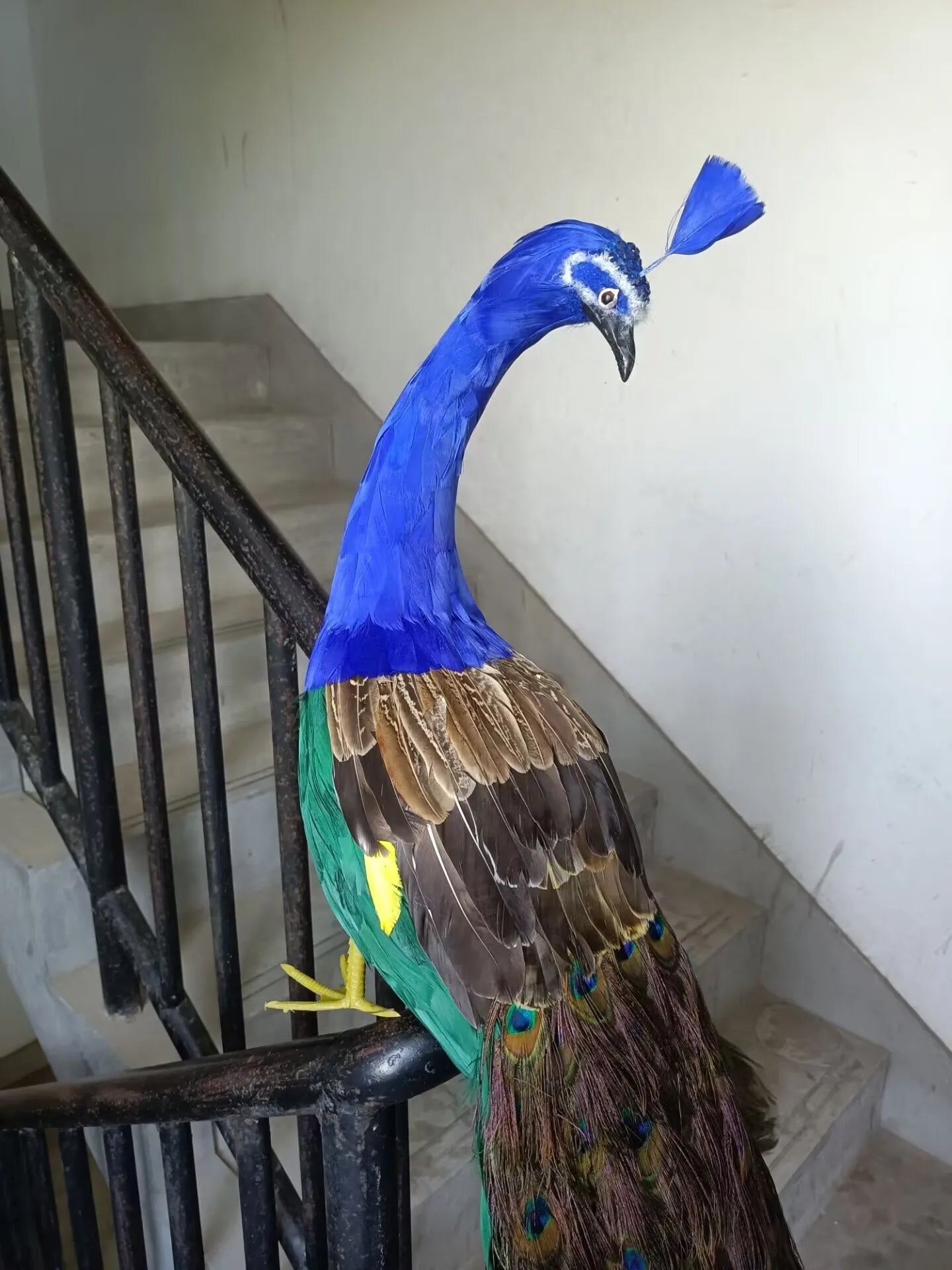 105cm Realistic Peacock Simulation Colorful Foam & Real Feather