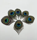 Peacock Feather Headdress